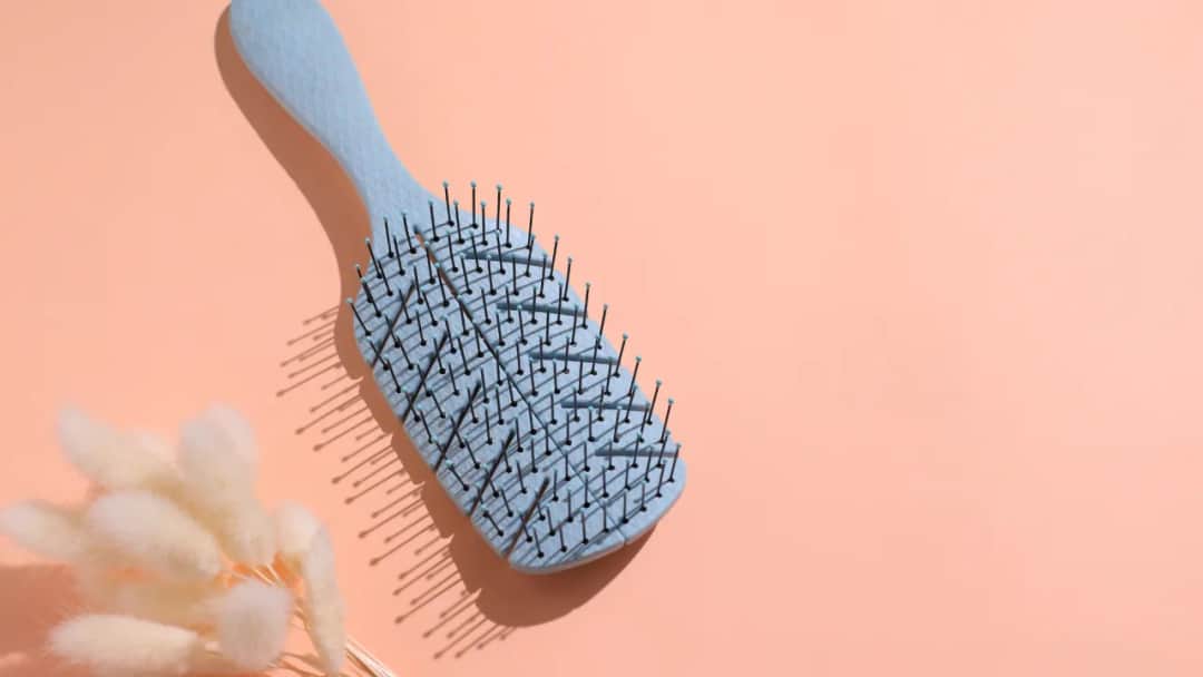Jak zdezynfekować szczotkę do włosów po wszach, aby uniknąć reinfekcji Jak zdezynfekować szczotkę do włosów po wszach, aby uniknąć reinfekcji