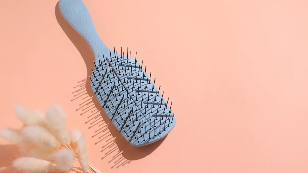 Jak zdezynfekować szczotkę do włosów po wszach, aby uniknąć reinfekcji Jak zdezynfekować szczotkę do włosów po wszach, aby uniknąć reinfekcji
